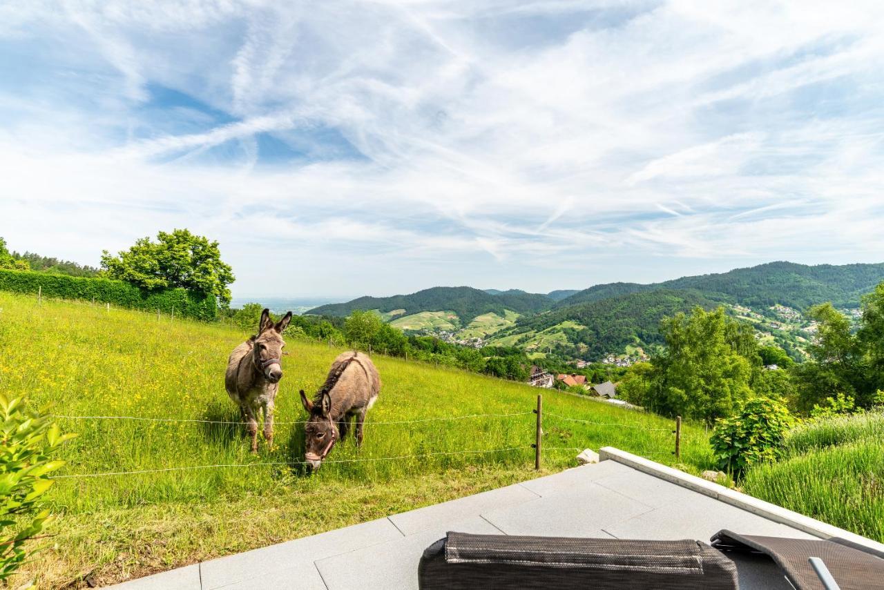 Merzel'S Schone Aussicht Bühlertal Exteriör bild